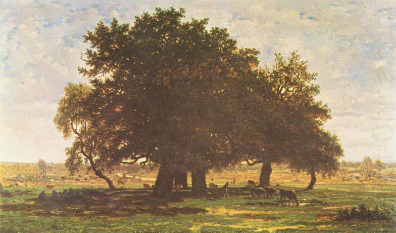 Les chenes d Apremont, Theodore Rousseau